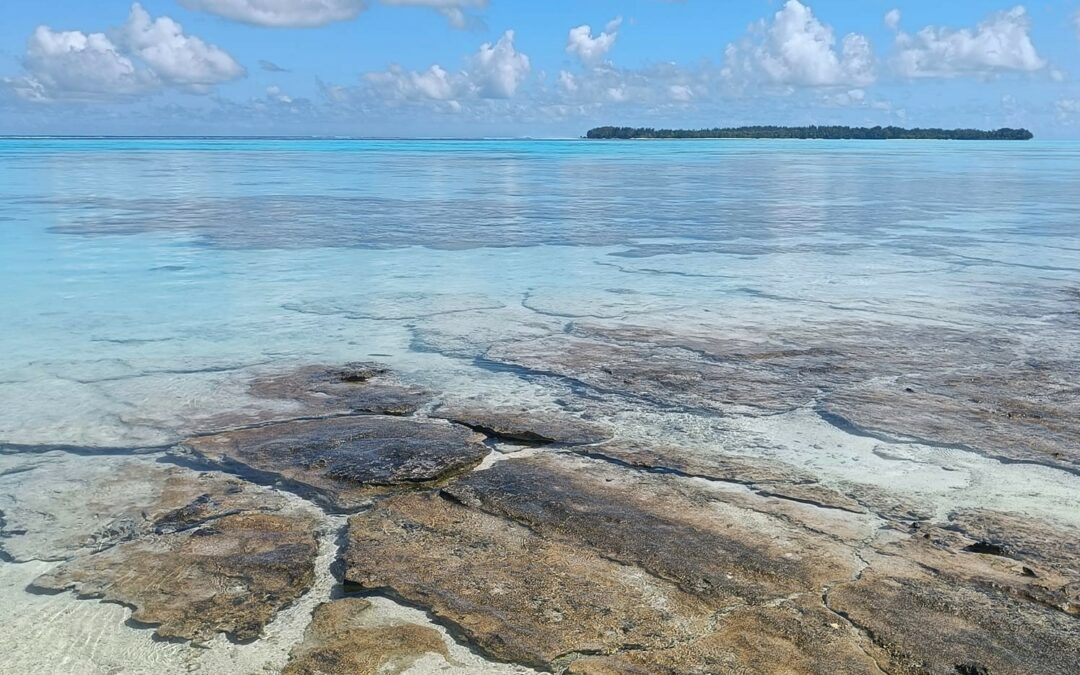SEO & GEO des contenus nautiques : mon avis