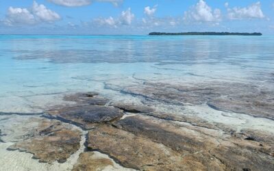 SEO & GEO des contenus nautiques : mon avis