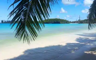 Contenu nautique incarné : plus d’impact, plus d’engagement, plus de clients