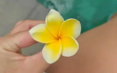 SEO multicanal dans le nautisme : comment structurer sa visibilité de manière durable ?