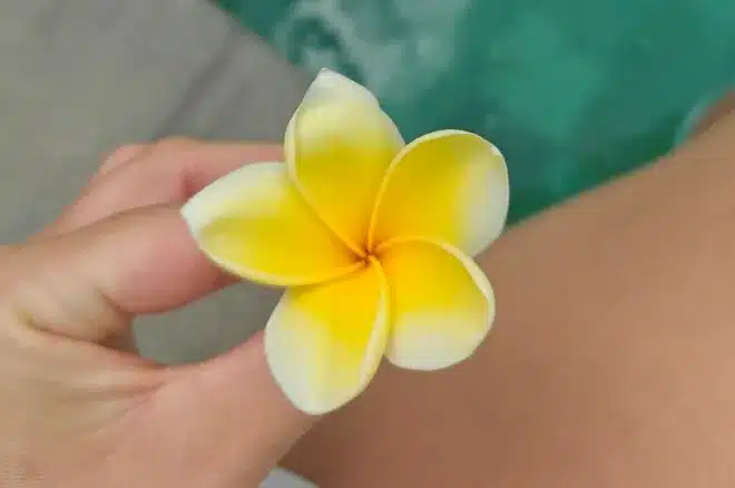 SEO multicanal dans le nautisme : comment structurer sa visibilité de manière durable ?