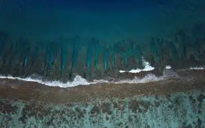 Développement commercial dans le nautisme : dans quels cas faire appel à un responsable externalisé ?